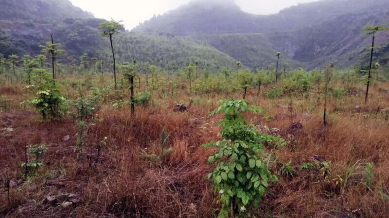 狂砸1127万治不好的废矿，如何变成金山银山