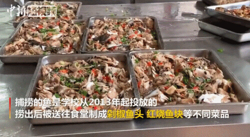 豪横！学校食堂买1300只螃蟹宴请师生