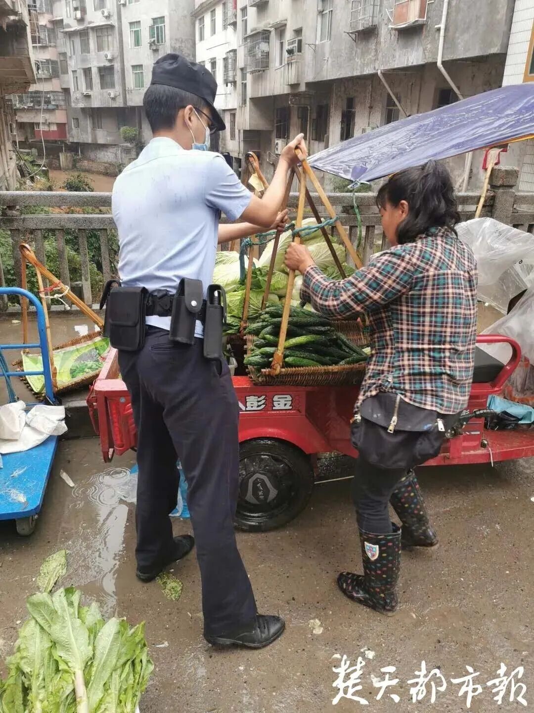 文章配图