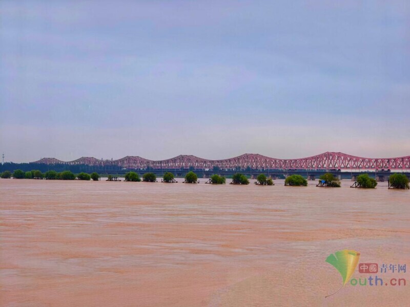 何以中國(guó) 黃河安瀾丨黃河中下游分界線，牽出一道生態(tài)屏障
