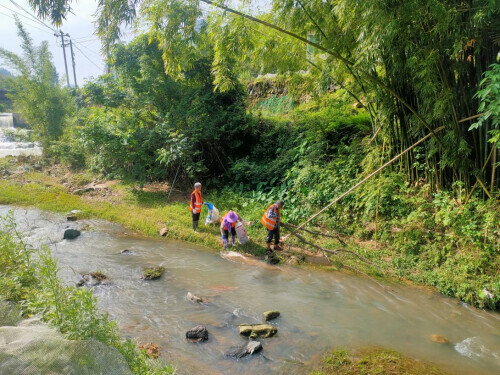 "四清四除"扮靓乡村环境