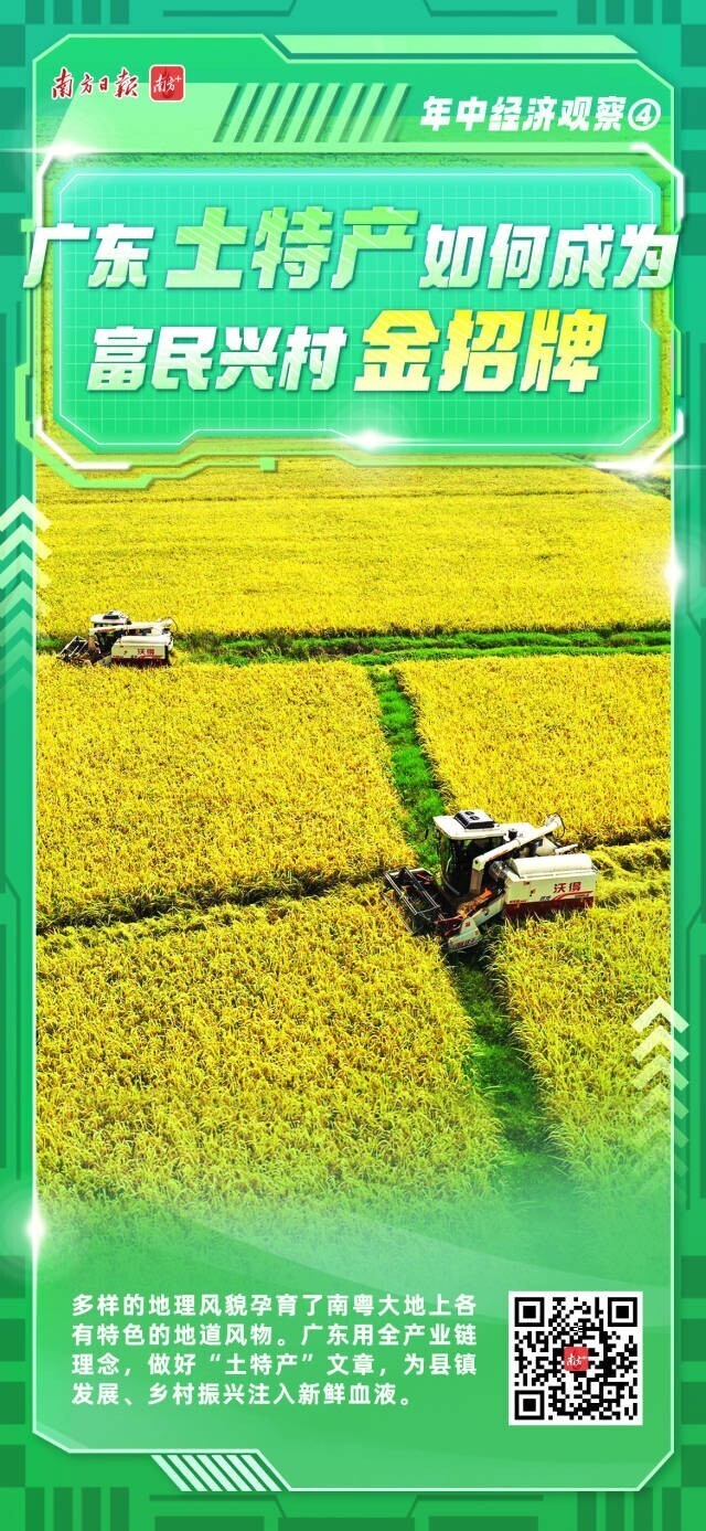 广东如何把土特产的“小买卖”做成“大生意”？——中国青年网