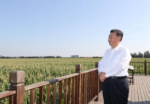 文章配图