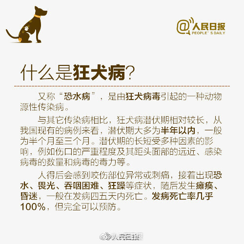 被猫犬咬伤后，如何处理才能避免狂犬病？——中国青年网
